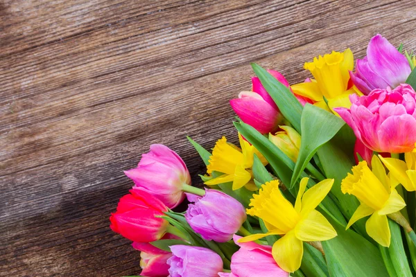 Bouquet of   tulips and daffodils — Stock Photo, Image