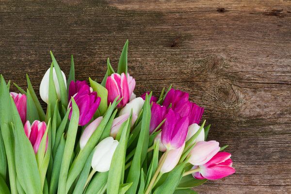 букет розовых, фиолетовых и белых тюльпанов
