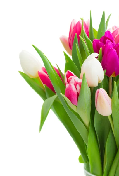 Bouquet of  pink, purple and white  tulips — Stock Photo, Image