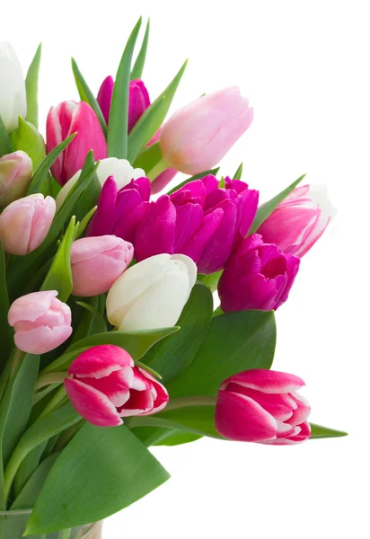 Bouquet of  pink, purple and white  tulips — Stock Photo, Image