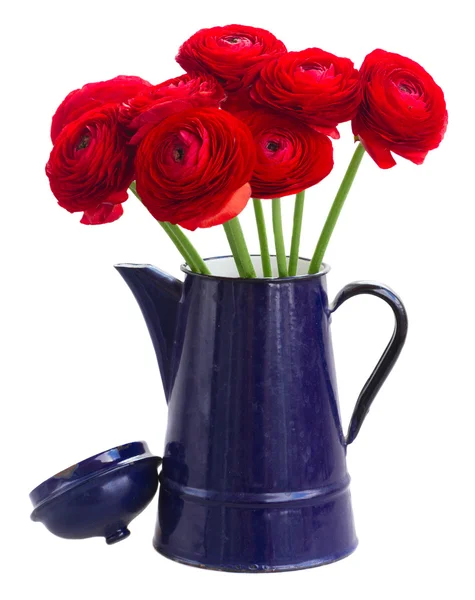 Red ranunculus flowers — Stock Photo, Image