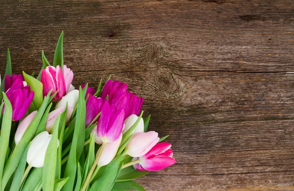 Buquê de tulipas cor de rosa, roxas e brancas — Fotografia de Stock