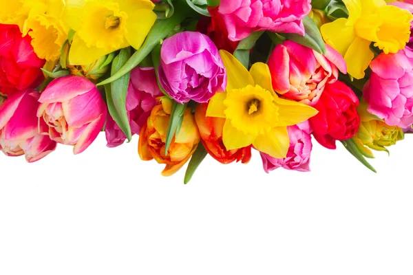 Bukett med tulpaner och påskliljor — Stock fotografie