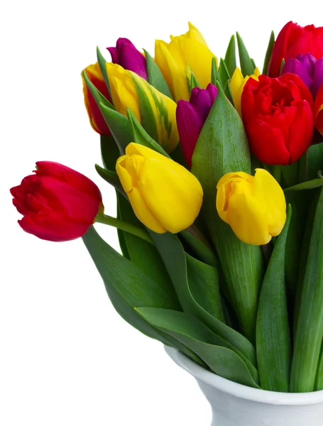 Bouquet of  yellow, purple and red  tulips — Stock Photo, Image