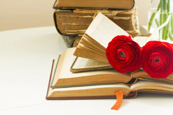 Livres anciens avec fleur de rose — Photo