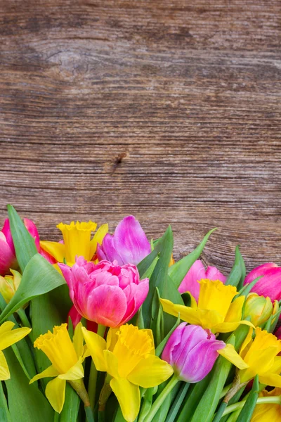 Bouquet di tulipani e narcisi — Foto Stock