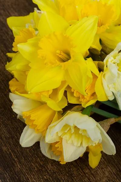 Jonquilles de printemps fraîches — Photo