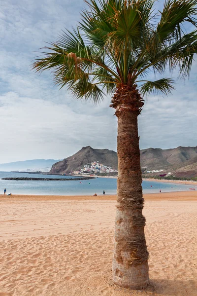 Beach las Teresitas, Tenerife, Espanha — Fotografia de Stock