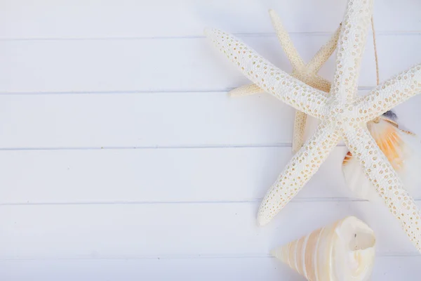 Beach towel and seashells frame — Stock Photo, Image