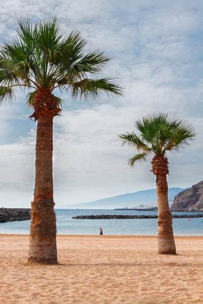 Plage las Teresitas, Tenerife, Espagne — Photo