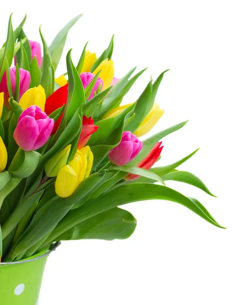 Ramo de tulipanes amarillos, morados y rojos — Foto de Stock