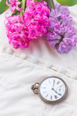 Pembe ve mor sümbül