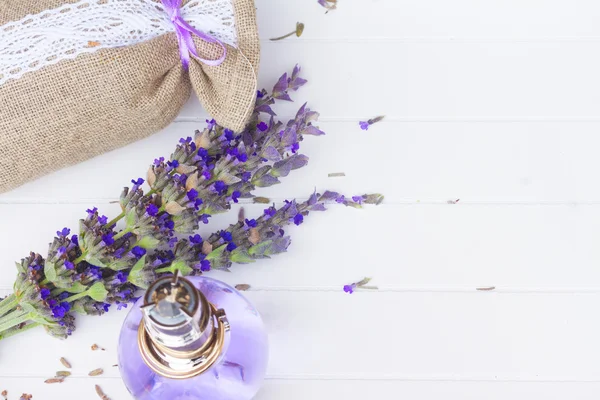 Lavendelblüten Wellness — Stockfoto