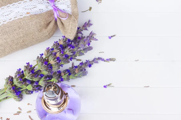 Fiori di lavanda spa — Foto Stock