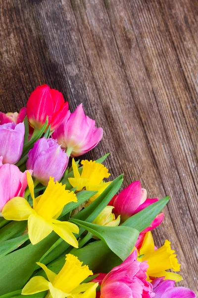 Buquê de tulipas e narcisos — Fotografia de Stock