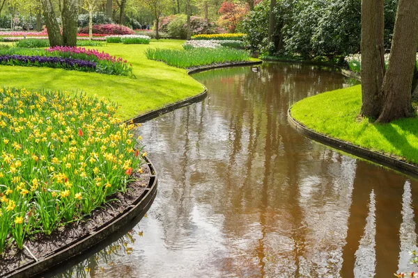 Primavera en el jardín —  Fotos de Stock