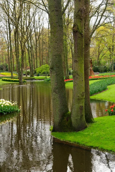 Весняний ставок в саду — стокове фото