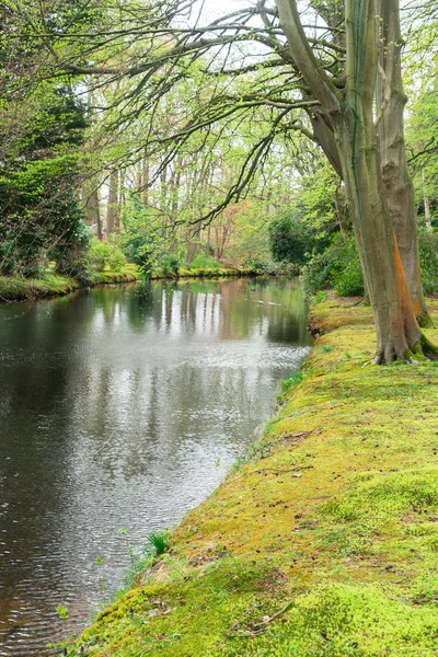 Clingendael park, Den Haag, Países Bajos — Foto de Stock