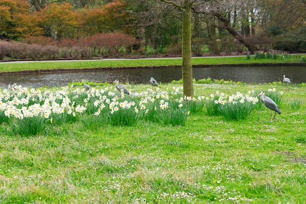 «Клінгендаль» парку, Гаага, Нідерланди — стокове фото