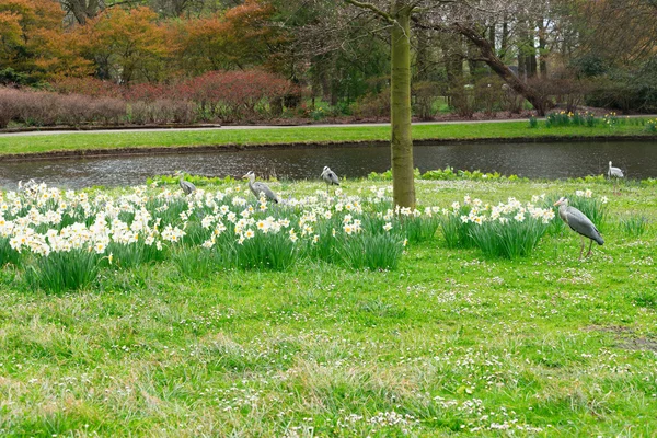 クリンゲン タール公園、デン ・ ハーグ、オランダ — ストック写真