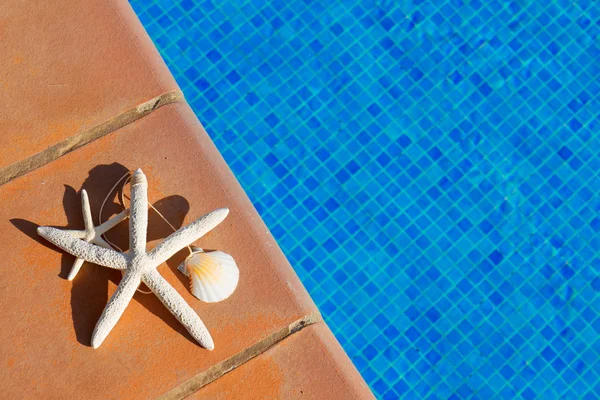Conchiglie e stelle marine vicino alla piscina — Foto Stock