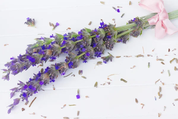 Fiori di lavanda spa — Foto Stock