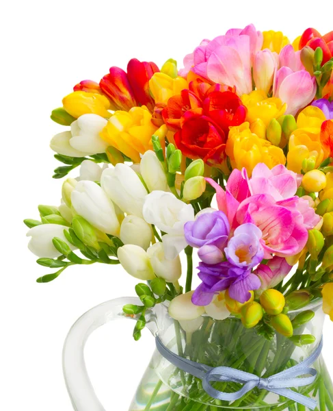 Fresh freesia flowers — Stock Photo, Image