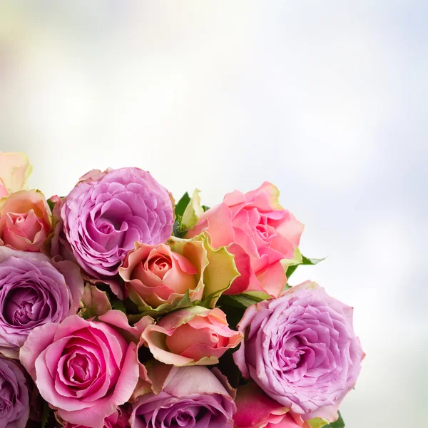 Bouquet de roses fraîches — Photo