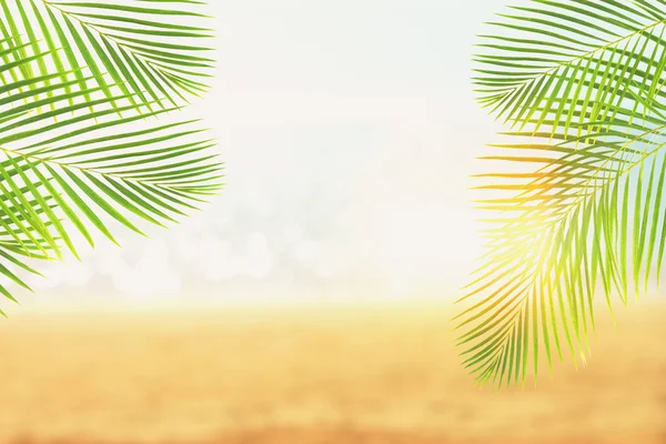 Playa de verano con palmeras —  Fotos de Stock