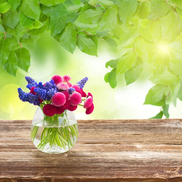Muscari ve papatya çiçekler — Stok fotoğraf