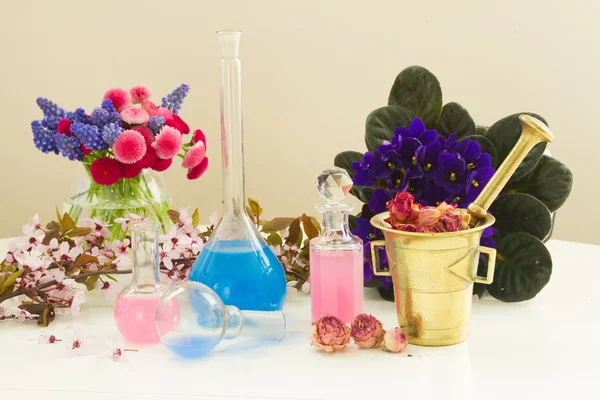 Aromaterapi - kuru çiçekler ve iksirler — Stok fotoğraf