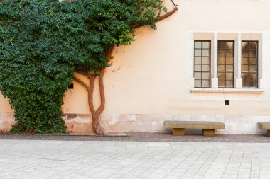 Wawel hill, Krakow, Polonya