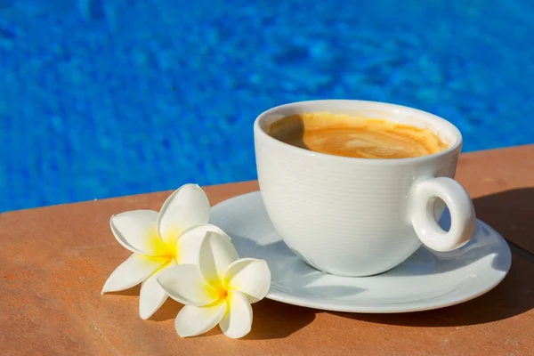 Летняя чашка кофе — стоковое фото