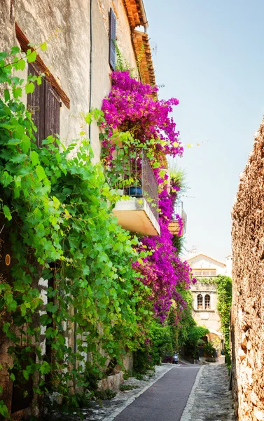 Schöne Altstadt der Provence — Stockfoto