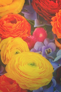 Ffesh çiçek arka plan