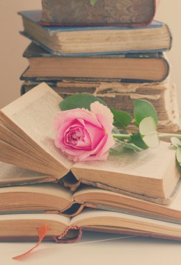 Gül çiçek ile eski kitaplar