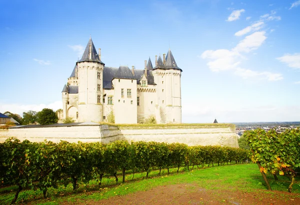 Saumur castle and vineyards — Stock Photo, Image