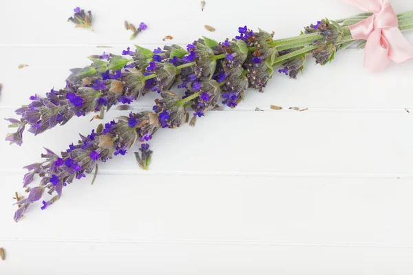 Lavender flowers spa — Stock fotografie