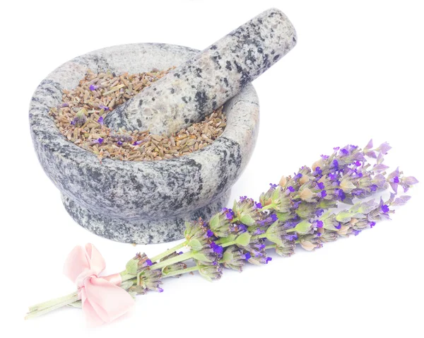 Fiori di lavanda spa — Foto Stock