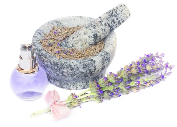 Lavender flowers spa — Stock Photo, Image