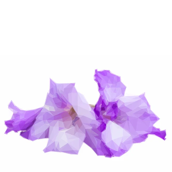 低ポリ グラジオラスの花 — ストックベクタ