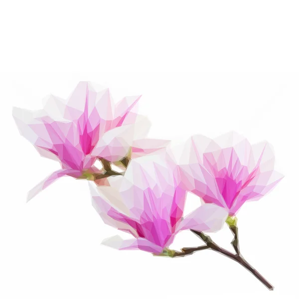 Low Poly blühende rosa Magnolienblüten — Stockvektor