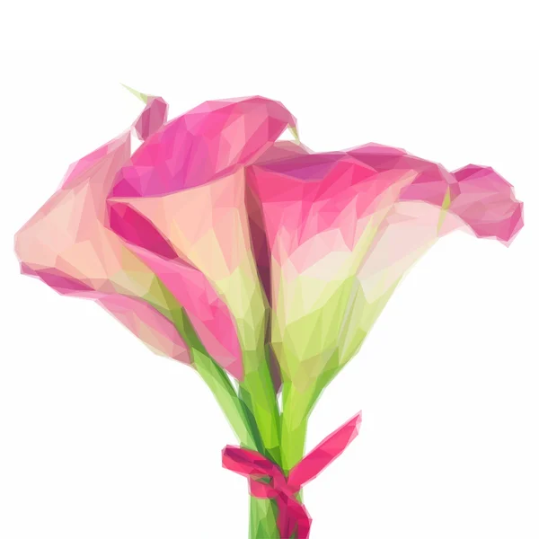 Calla lilly rosa — Vettoriale Stock