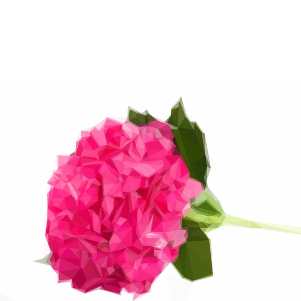 Ramo de flor de hortensia rosa — Vetor de Stock