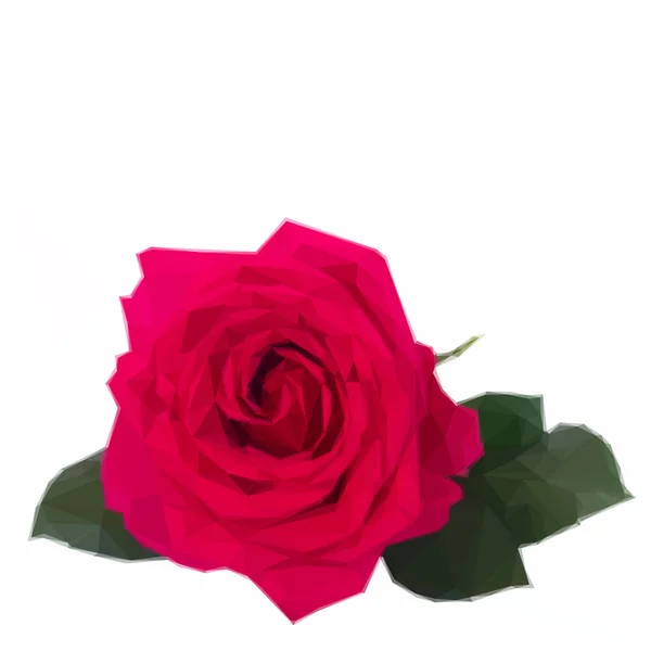 One dark pink roses — Stock Vector