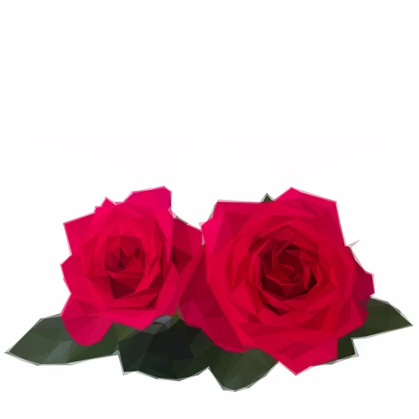 两个深粉红玫瑰 — 图库矢量图片