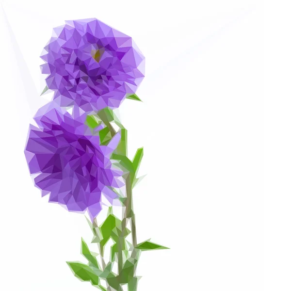 Tres flores de color lila aster — Vector de stock
