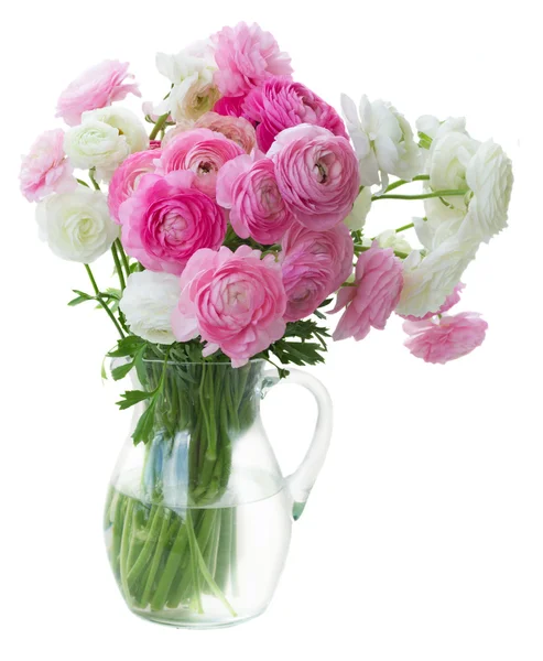Fleurs de ranunculus roses et blanches — Photo