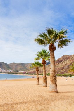 beach Las Teresitas, Tenerife, Spain