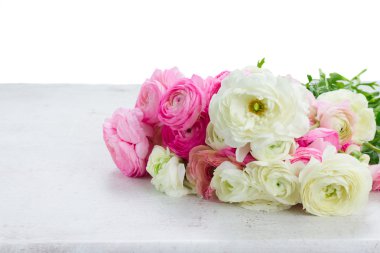 Pembe ve beyaz ranunculus çiçekleri